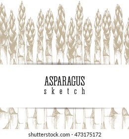 Stalks of asparagus background vector isolated sketch hand drawn colorful illustration. Design layout.