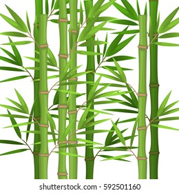 Stalks of bamboo with green leaves flat theme in realistic style isolated on white. Vector illustration of tropical plants. Stems of bamboo grove