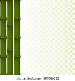 stalks of green bamboo on a transparent background. template. vector illustration