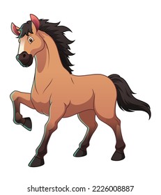 Stallion Horse Cartoon Animal Illustration