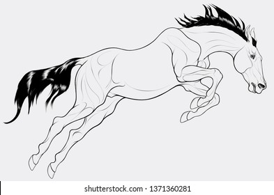 The stallion overcomes an obstacle in a powerful jump, craned its neck forward, laid his ears back. Linear Illustration of a running steed. Vector clip art and design element for equestrian goods.