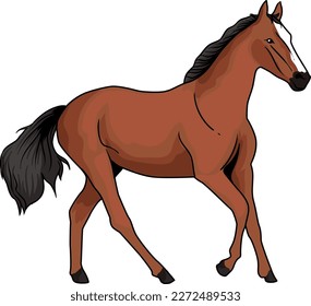 the stallion ran gallantly and mightily