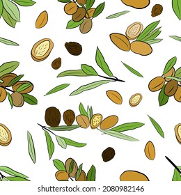 Stamless pattern of argan leaves, nuts, oil. Sketch of branch argania  with fruits. Hand-drawn illustration. Organic essential oil sketch.