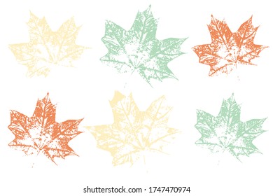 Stamp of asymmetric maple leaf, isolated on white background. Natural ink imprint of autumn leaf with streaks and texture. Isolated objects on white background. Vector illustration.