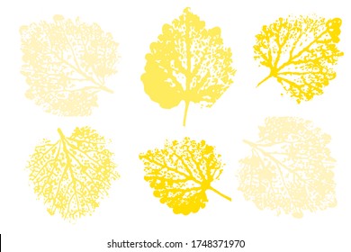 Stamp of asymmetric maple leaf, isolated on white background. Colored silhouettes of leaves. Overlay template. Vector illustration.