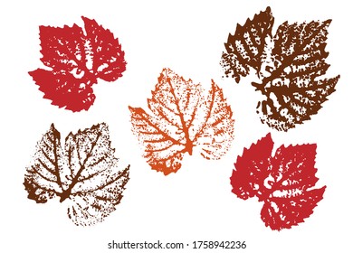 Stamp of asymmetric maple leaf, isolated on white background.  Objects isolated on white. Overlay template. Vector illustration.