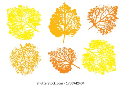 Stamp of asymmetric maple leaf, isolated on white background. Colored silhouettes of leaves. Isolated objects on white background. Vector illustration.