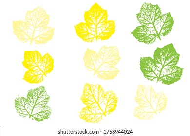Stamp of asymmetric maple leaf, isolated on white background. Colored silhouettes of leaves. Overlay template. Vector illustration.
