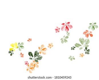 Stamp of asymmetric maple leaf, isolated on white background. Autumn foliage, vector colored illustration. Monochrome artistic floral collection.