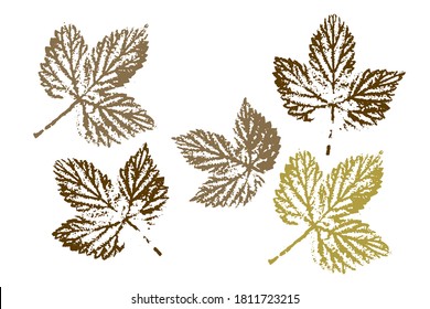 Stamp of asymmetric maple leaf, isolated on white background.  Objects isolated on white. Isolated objects on white background. Vector illustration.