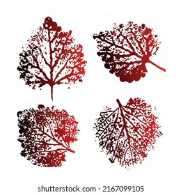 Stamp of asymmetric maple leaf, isolated on white background. Colored silhouettes of leaves. Set with stamp leaves. Vector illustration.