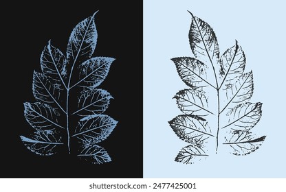 Stamp imprint of a leaf or plant with organic texture. Isolated leaf print for floral art or pattern.