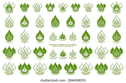 Stamps for packaging of cosmetic products. The label is aloe vera extract. Plant icon with flowing ingredient line. Aloe extract drops.Vector set.
