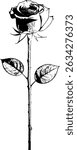 Stamp-style black and white rose — symmetrical composition with ornamental leaves and etched lines. The stem is straight and thin, adorned with two sets of symmetrical leaves.
