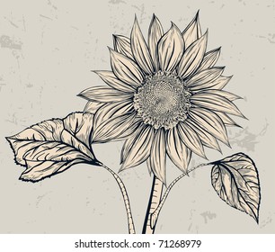 Stand alone. Sunflower