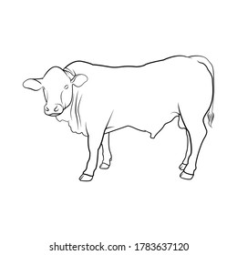 Stand Cow Side View Line Art Stock Vector (Royalty Free) 1783637120 ...