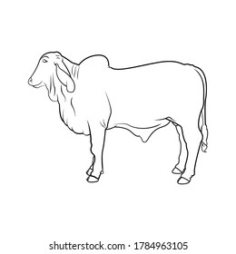 stand up Cow side  view line art drawing animal
