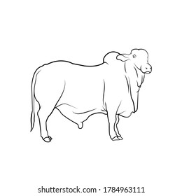 stand up Cow side  view line art drawing animal