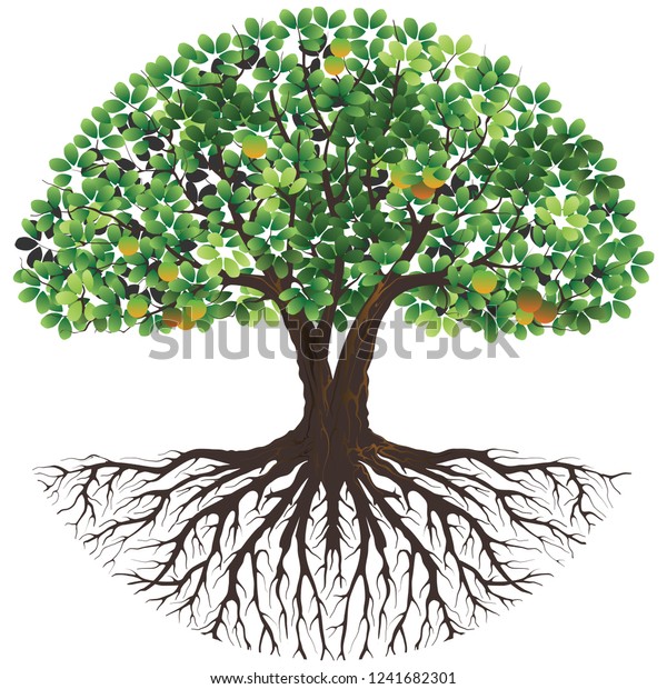 3,319 Tree With Roots And Fruits Stock Vectors, Images & Vector Art ...