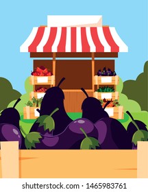 stand selling vegetable eggplant in wooden basket