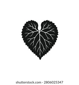 A standalone garlic mustard leaf with crinkled heart-shaped outlines and serrated borders