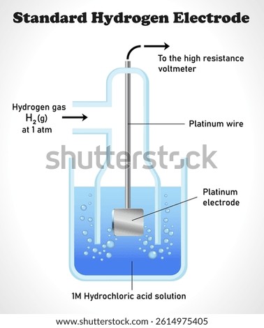 Standard hydrogen electrode diagram. Science education vector illustration