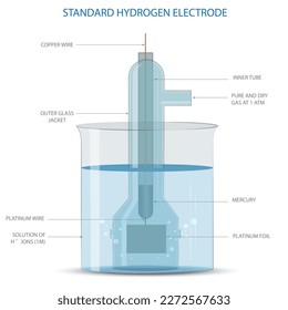 A Standard Hydrogen Electrode is a reference electrode used in electrochemical cells, where hydrogen gas is bubbled over a platinum surface, essential for measuring electrode potentials