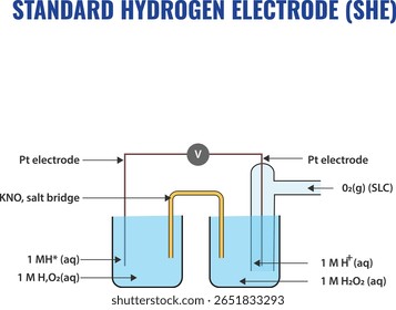 O eletrodo de hidrogênio padrão SHE é o eletrodo de referência primário com potencial zero usado para medir e comparar outros potenciais de eletrodo em eletroquímica