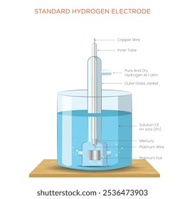 O Eletrodo de Hidrogênio Padrão (SHE) é um eletrodo de referência com um potencial de 0V, usado para medir potenciais de eletrodo.