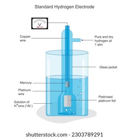 A Standard Hydrogen Electrode (SHE) is an electrode that scientists use as a reference electrode with potential zero.Standard hydrogen electrode diagram. Scientific vector illustration.