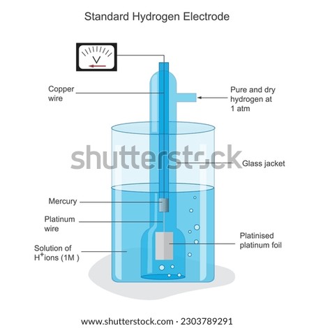 A Standard Hydrogen Electrode (SHE) is an electrode that scientists use as a reference electrode with potential zero.Standard hydrogen electrode diagram. Scientific vector illustration.