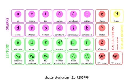 Standard Model Of Elementary Particles Vector Design