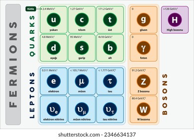 El modelo estándar de física. En la física de partículas elementales, bosones de todas las partículas elementales, interacción electromagnética y fuerte. Fiebre física, quark, lepton, boson.