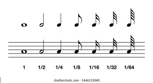 Standard note values. Whole, half, quarter and eighth to sixty-fourth. In music notation, the note value indicates the relative duration of a note, using notehead, stem or flag. Illustration. Vector.