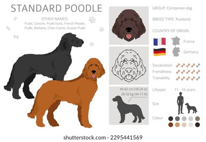 Standard Poodle Clip Art. Unterschiedliche Posen, Farben für die Fellfarbe.  Vektorgrafik