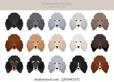 Standard Poodle Clip Art. Unterschiedliche Posen, Farben für die Fellfarbe.  Vektorgrafik