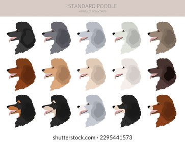 Clíparte de caniche estándar. Postas diferentes, colores de abrigo.  Ilustración del vector