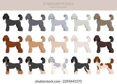 Standard Poodle Clip Art. Unterschiedliche Posen, Farben für die Fellfarbe.  Vektorgrafik