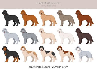 Standard Poodle Clip Art. Unterschiedliche Posen, Farben für die Fellfarbe.  Vektorgrafik