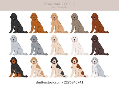 Standard Poodle Clip Art. Unterschiedliche Posen, Farben für die Fellfarbe.  Vektorgrafik