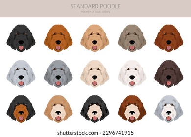 Standard Poodle Clip Art. Unterschiedliche Posen, Farben für die Fellfarbe.  Vektorgrafik