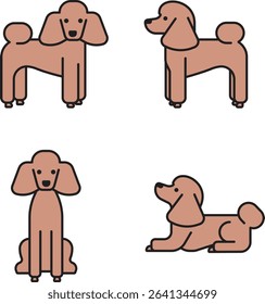 Standard Poodle dog illustration various poses