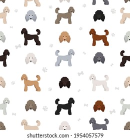 Standard poodle seamless pattern. Different poses, coat colors set.  Vector illustration