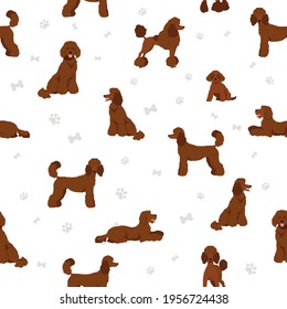 Standard poodle seamless pattern. Different poses, coat colors set.  Vector illustration