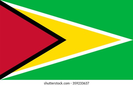 Standard Proportions and Color for Guyana Flag