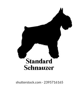 Standard Schnauzer. Dog silhouette dog breeds dog monogram logo dog face vector