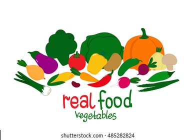 Standard set of vegetables: cabbage, squash, tomatoes, corn, peppers, carrots, cucumber and others. Isolated on white background. The concept of real food. Vector illustration.