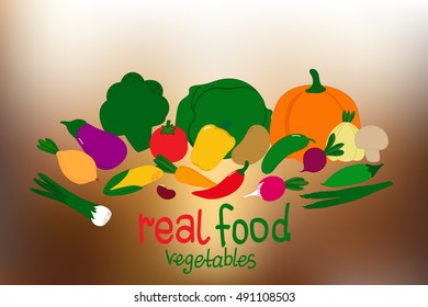 Standard set of vegetables: cabbage, squash, tomatoes, corn, peppers, carrots, cucumber and others.  The concept of real food. Vector illustration.