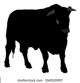 Standing adult bull vector silhouette illustration isolated on white background. Breeding bull.  quality genetic material for insemination.