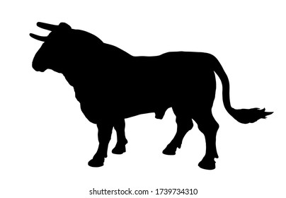 Standing adult bull vector silhouette illustration isolated on white background. Breeding bull.  quality genetic material for insemination. Organic food.  Strong animal for bull fighting Spain corrida